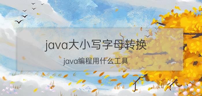 java大小写字母转换 java编程用什么工具？